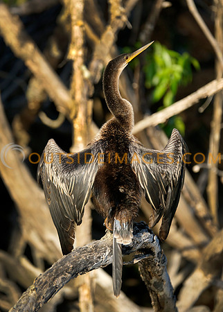 130422_GRIESER_387