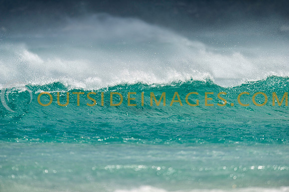 111126_TODD_0182