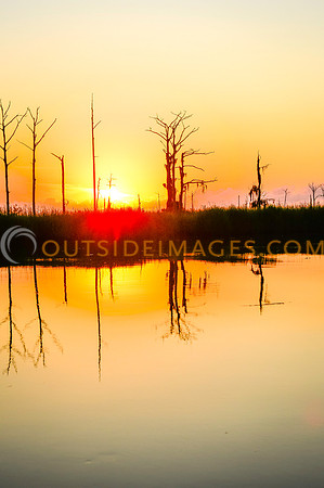 130616_TODD_01437