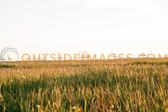 151113_TODD_0038
