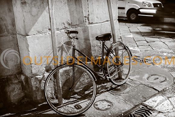 130111_TODD_0145