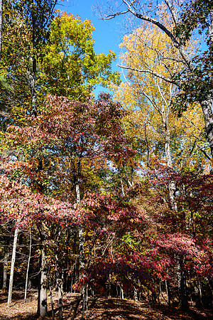 __131103_TODD_0552
