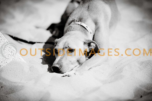 130421_TODD_0442
