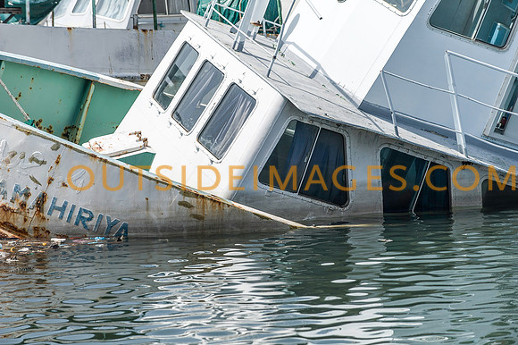 111224_TODD_0271