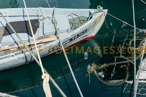 111223_TODD_0138