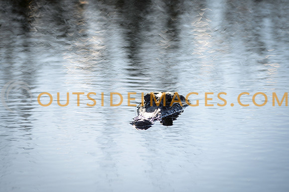 130615_TODD_00874