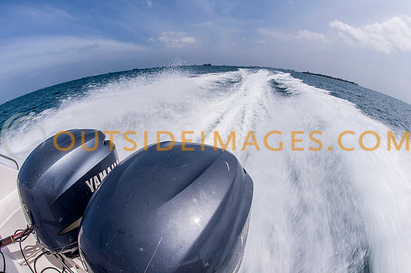 111224_TODD_0046