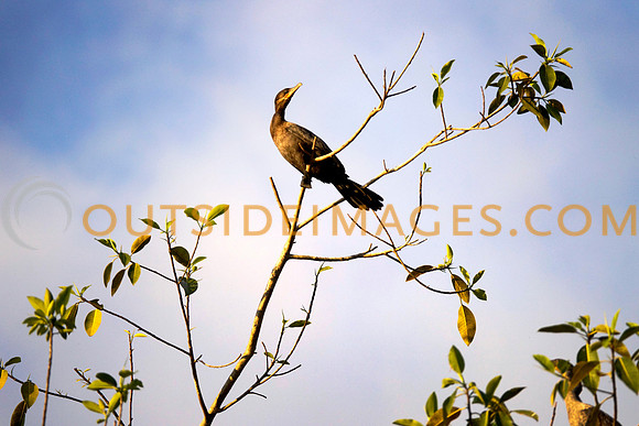130422_GRIESER_464