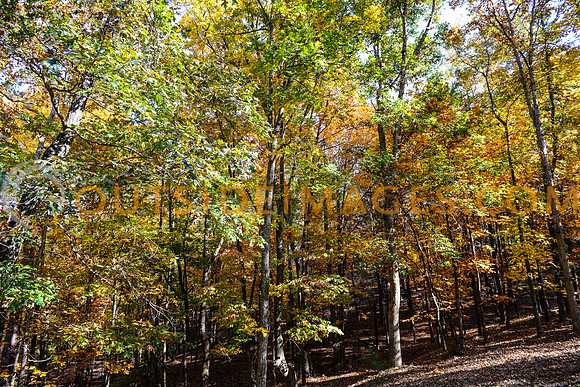 __131103_TODD_0547