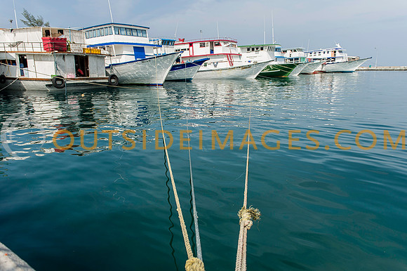 111223_TODD_0118