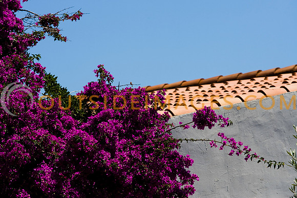 080613_TODD_9732