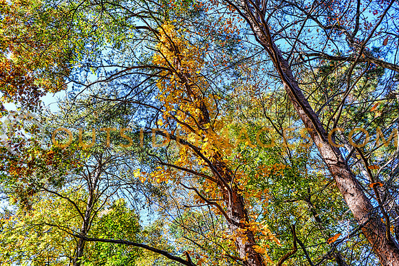 ____131103_TODD_0439