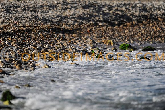 130424_TODD_0597