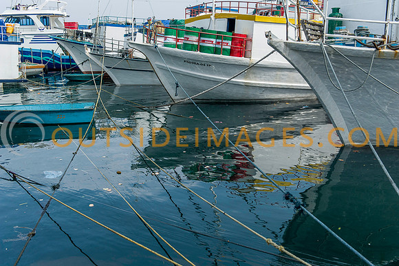 111223_TODD_0127