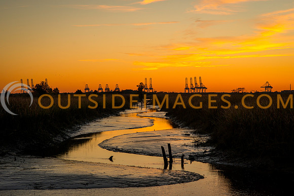 151113_TODD_0085
