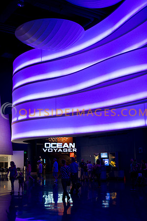 20110525_Georgia_Aquarium_0005