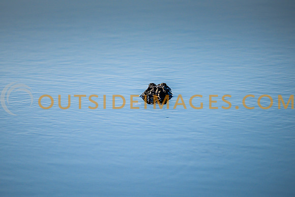 130615_TODD_00767