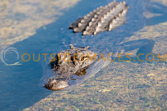 120124_TODD_0166