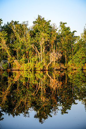 130616_TODD_01606