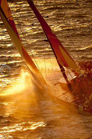 111105_TODD_01093