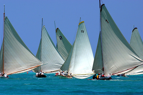 This image belongs to  © WWW.OUTSIDEIMAGES.CO.NZ