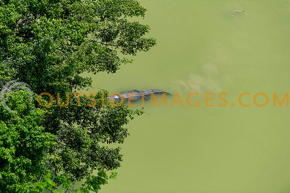 120518_TODD_0036