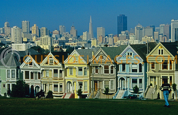 painted_ladies