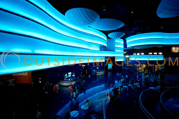 20110525_Georgia_Aquarium_0224