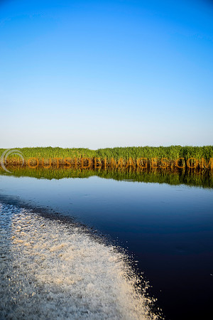 130616_TODD_01884