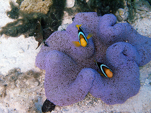 IMGP0032