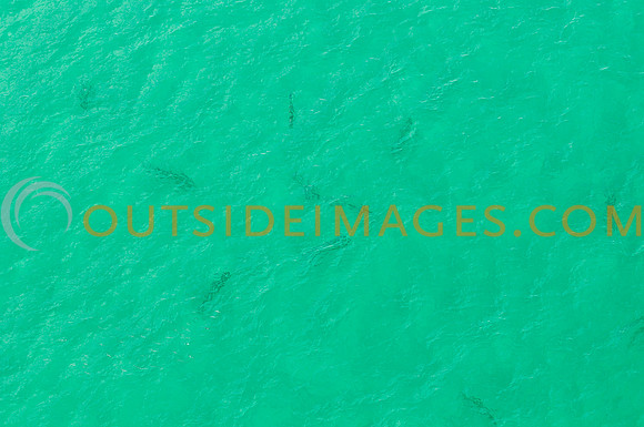 120520_TODD_0727