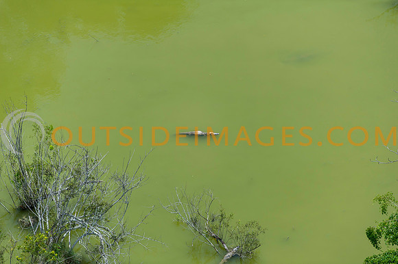 120518_TODD_0017