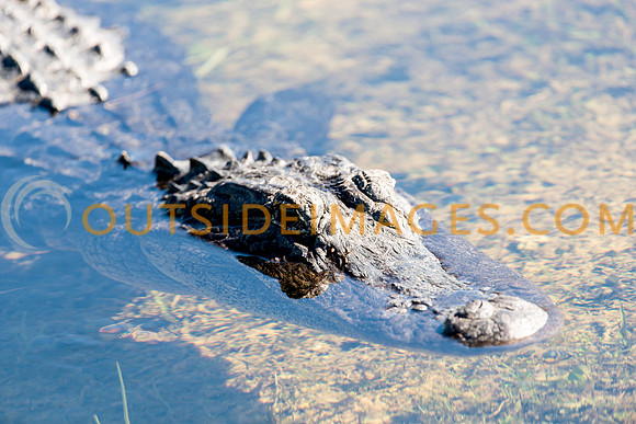 120124_TODD_0170