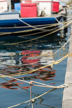 111223_TODD_0226