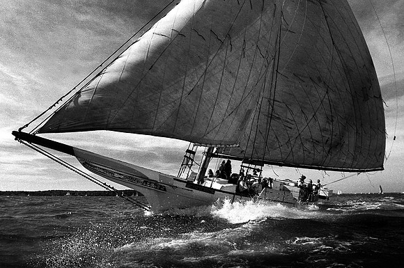 This image belongs to  © WWW.OUTSIDEIMAGES.CO.NZ