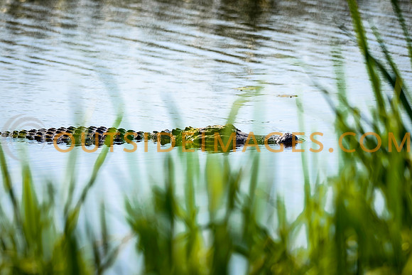 130615_TODD_00048