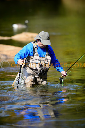 __131027_TODD_0272