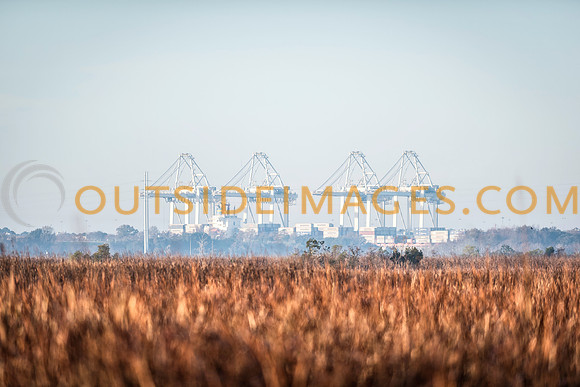 141227_TODD_