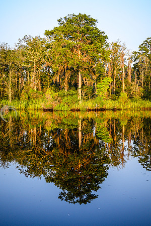 130616_TODD_01619