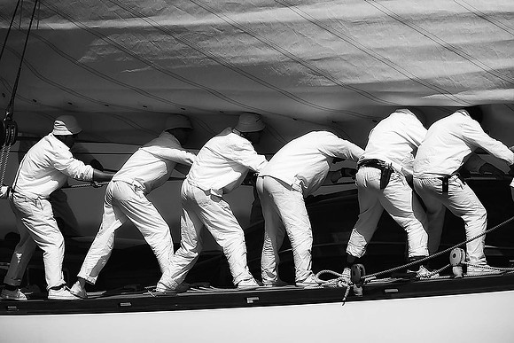 _MG_3528bw