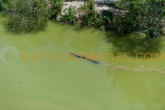 120518_TODD_0039