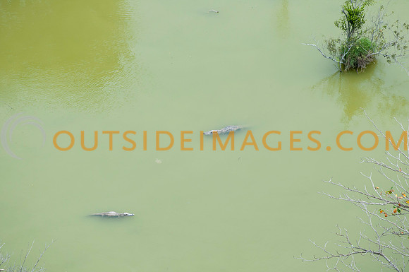 120518_TODD_0599