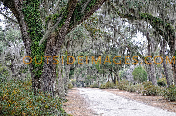 _ONZ5078