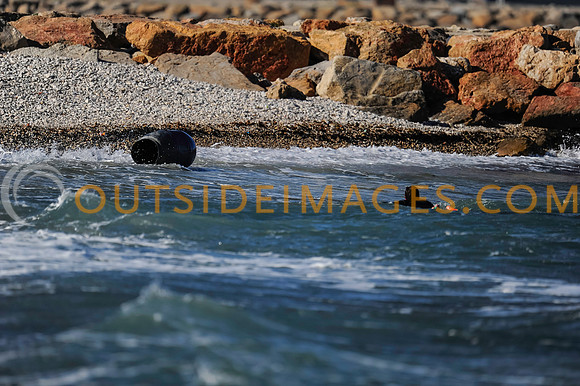 130424_TODD_0149