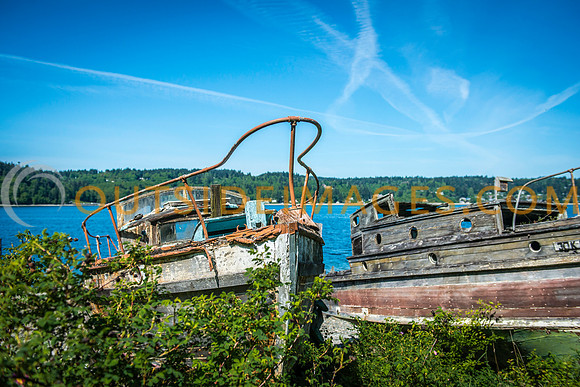 140513_TODD_0248