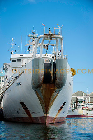 111130_TODD_0173