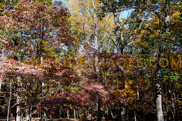 ____131103_TODD_0550