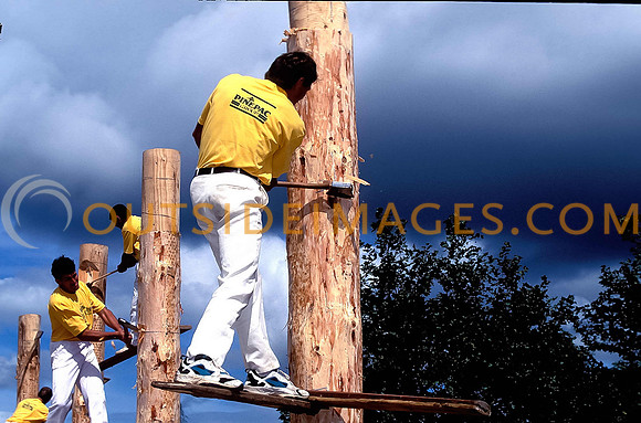 Woodchoph-2