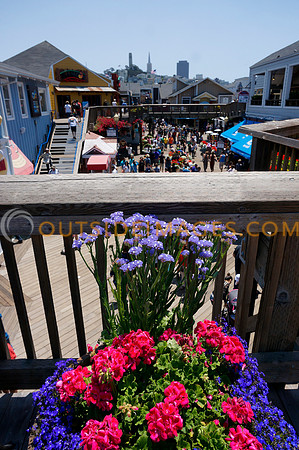 130630_GRIESER_0115