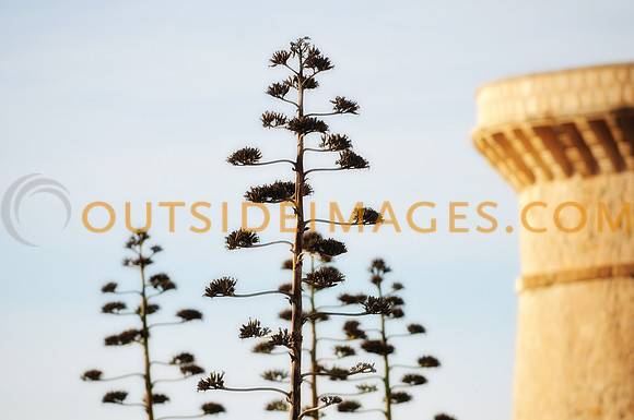 ONZ_0719